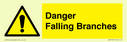 danger-falling-branches~